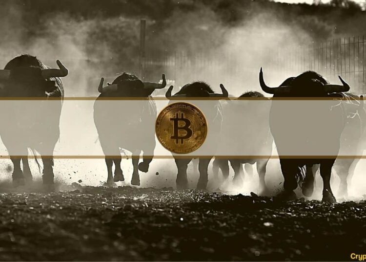 Next Crypto Bull Run Will be Driven by Asia: Cameron Winklevoss