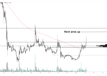 Analyst Forecasts Extended Rallies for Shiba Inu, Avalanche, Fantom and One Additional Crypto Asset