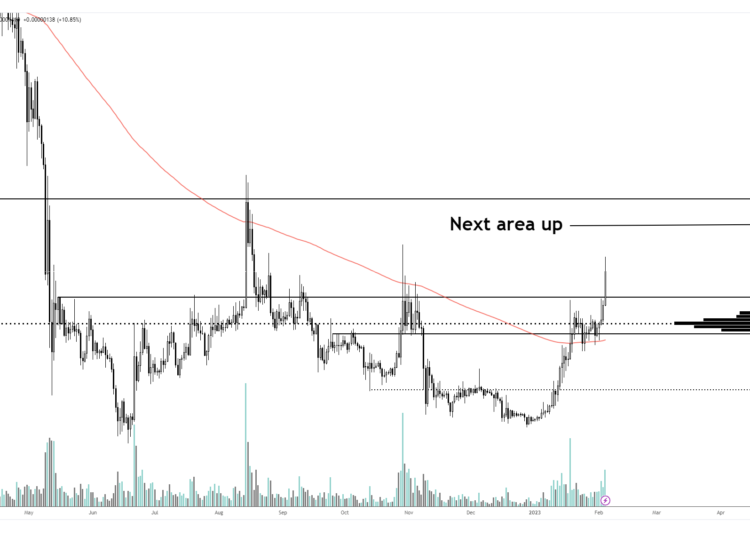 Analyst Forecasts Extended Rallies for Shiba Inu, Avalanche, Fantom and One Additional Crypto Asset