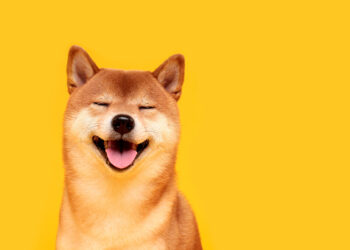 Shiba Inu community urges Binance to list BONE with huge petition