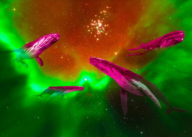 Massive Whale Activity for Ethereum-Based Altcoin Suggests Big Breakout Incoming: Santiment