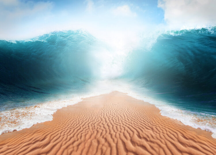 Opensea Drops Fees to Zero and Announces New Creator Earnings Model in Response to Shifting NFT Landscape – Bitcoin News