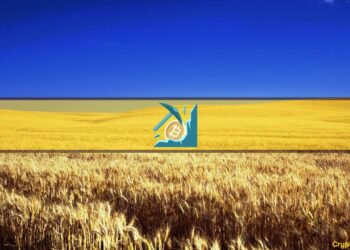 Locals on Edge About the Construction of a Crypto Miner Near McLouth, Kansas (Report)