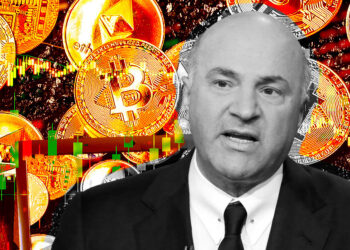 ‘Unregulated, rogue’ crypto exchanges to end under passport system, says O’Leary