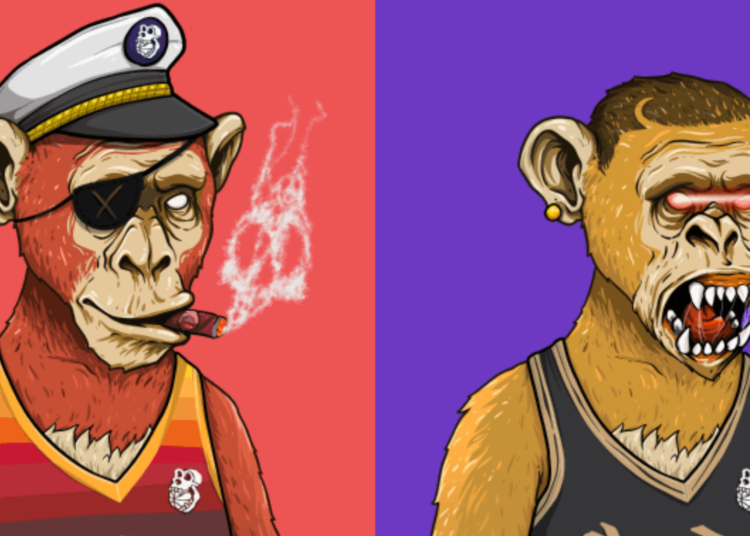 NFT Collection NBAYC Price, Stats, and Review