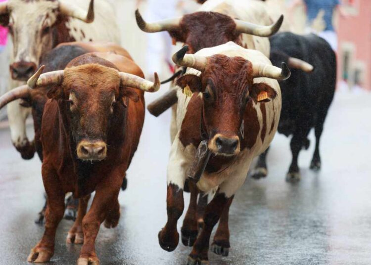 Next Crypto Bull Run Will Start From the East, Says Gemini Co-Founder – Markets and Prices Bitcoin News