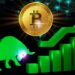 We’re in Next Bull Market Cycle – Markets and Prices Bitcoin News