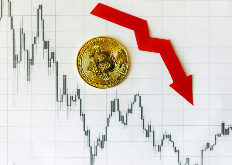 BTC Falls Below $24,000 Ahead of US Consumer Sentiment Data – Market Updates Bitcoin News