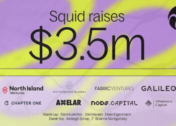 Squid Protocol Raises $3.5m, Introduces Native Cross-chain Swaps