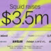 Squid Protocol Raises $3.5m, Introduces Native Cross-chain Swaps