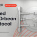 The Value of Litecoin (LTC) and Cardano (ADA) on the Rise, Orbeon Protocol (ORBN) Presale Nears Capacity