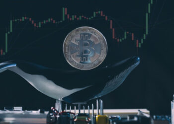 Bitcoin Hodlers Experience Profits on Majority of Trading Days