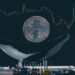Bitcoin Hodlers Experience Profits on Majority of Trading Days