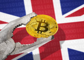 UK lacks expertise for central bank digital currency