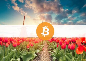 This is Europe’s Most Crypto-Curious Country (Study)