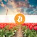 This is Europe’s Most Crypto-Curious Country (Study)