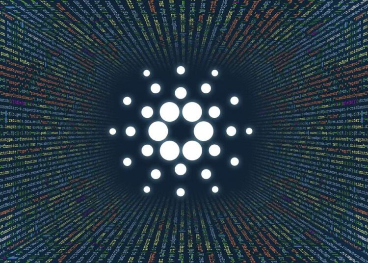 Cardano: Liqwid Finance massive update live and Paribus launches in ADA ecosystem