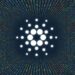 Cardano: Liqwid Finance massive update live and Paribus launches in ADA ecosystem