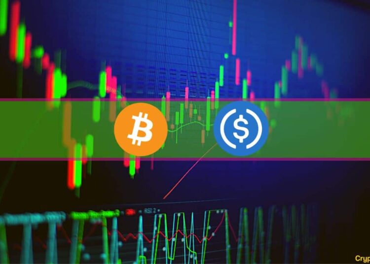 BTC’s Rollercoaster Around $20K Continues as USDC Drops to $0.9: Weekend Watch
