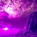 Ethereum Creator Vitalik Buterin Nets Nearly $700,000 As Billionaire Sells All His Free Memecoins: On-Chain Data