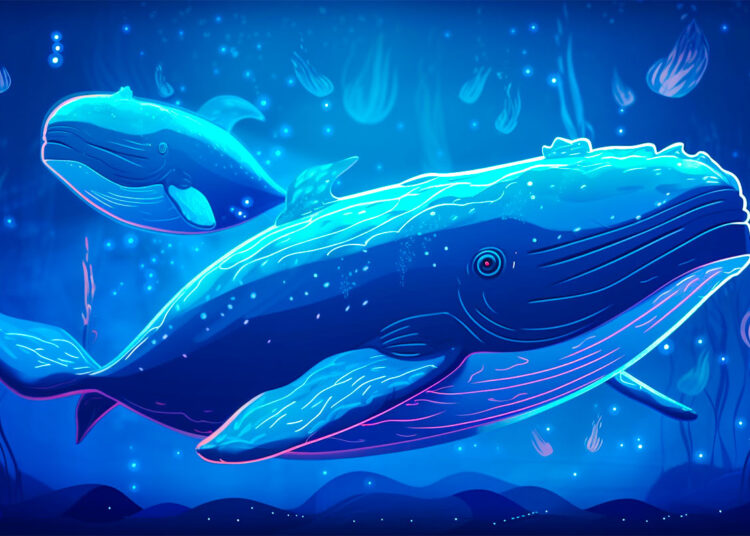 Crypto Whales Move Over $600,000,000 in Bitcoin, Ethereum, XRP and The Sandbox – Here’s Where It’s Going