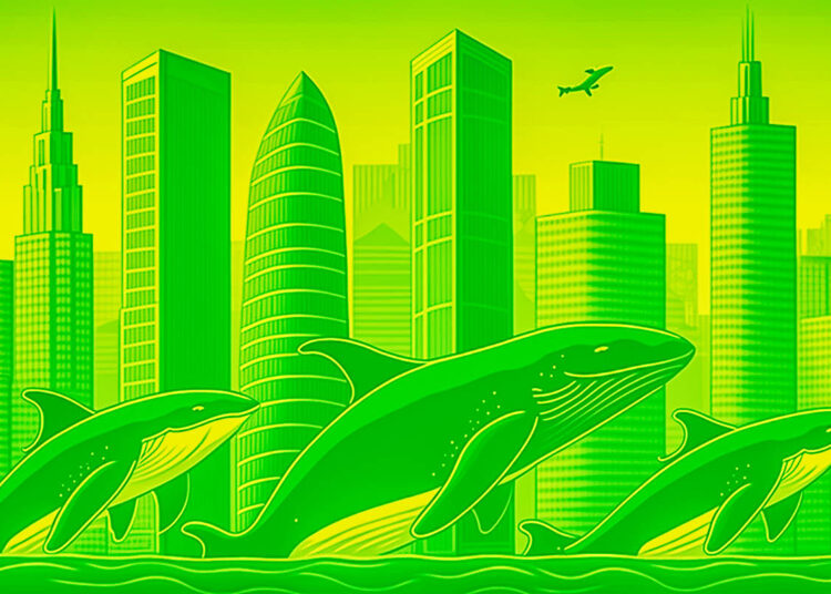 Whales Move Over $800,000,000 in Bitcoin, Ethereum, XRP and Polygon – Here’s Where the Crypto Is Headed