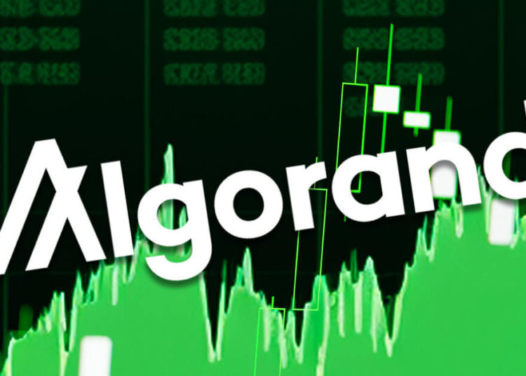 Algorand up over 12% following on from India partnership