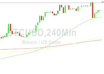 Bitcoin Price Analysis: Volatility Awakened