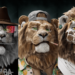 NFT Collection Lucky Lion Club Official (LLC) Price, Stats, and…..