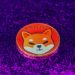 Shiba Inu: Hundreds of projects to use Shibarium and build the next generation ecosystem – Can it drive SHIB to $0.001?