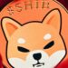 Developers unveil SHIB the metaverse with new slogan