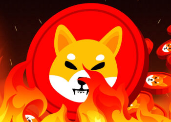 SHIB burn rate up a staggering 8733% over the past 24 hours