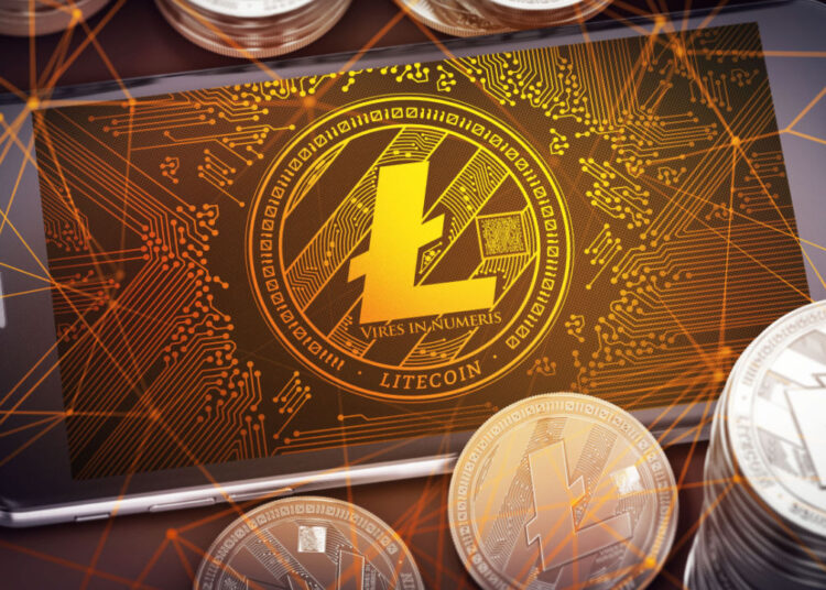 LTC Back Above $80, DOGE Extends Gains Following Inflation Report – Market Updates Bitcoin News