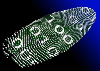 Polygon released 4 massive tools to revolutionize the ID market