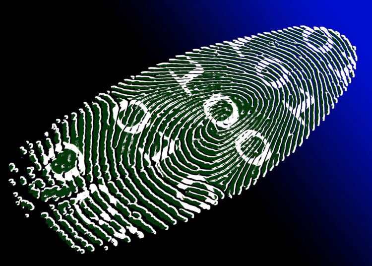 Polygon released 4 massive tools to revolutionize the ID market