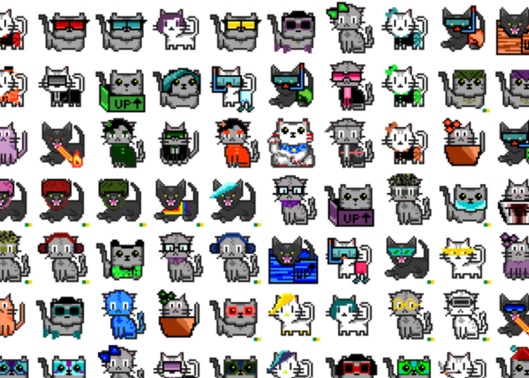 NFT Collection Wrapped CryptoCats Official Price, Stats, and Revi…