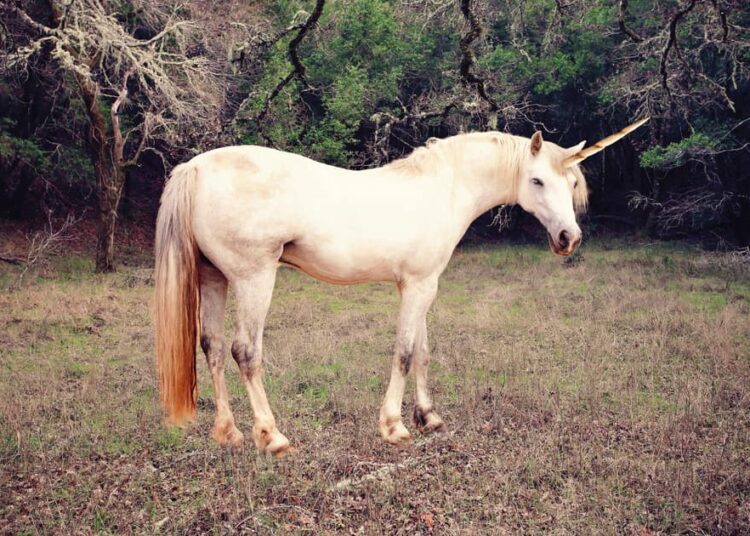 Proposal to Return ARB Tokens to Arbitrum DAO Treasury Rejected