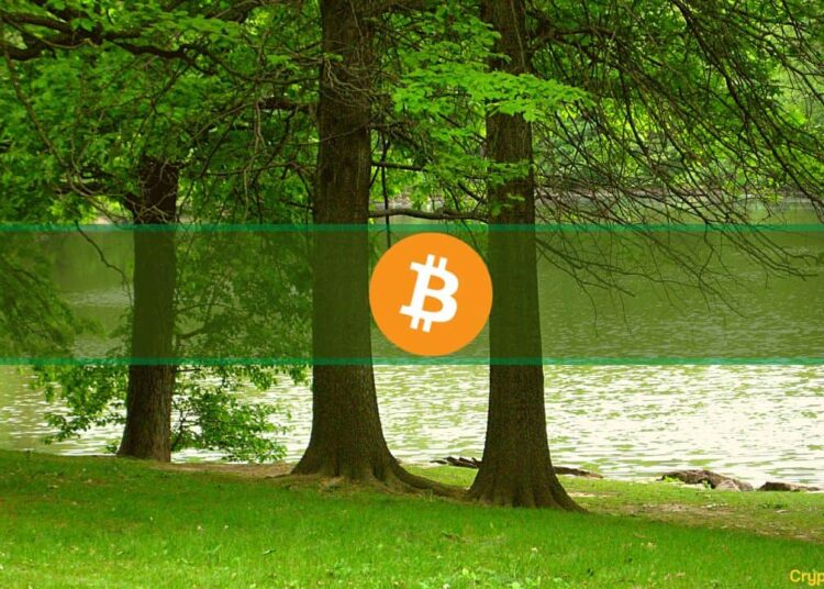 Bitcoin Leads the Way by Outperforming Most Assets in Q1: Report