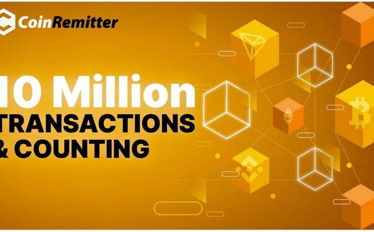 10 Million Transactions and Counting: How Coinremitter is Shaping the Future of Crypto Payments