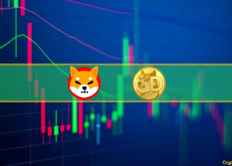 Dogecoin Skyrockets 9%, Shiba Inu Up 5%