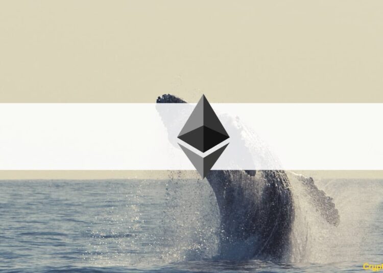 Ethereum ICO Participant Wakes Up to $4.42M in ETH After 8 Years