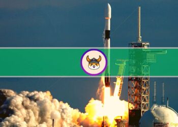 FLOKI Skyrocketed 40% After Listing on Binance.US
