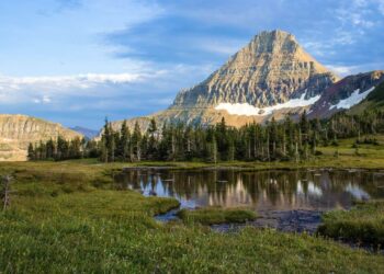 Montana Bill Classifying Crypto as Personal Property Approved by House of Reps