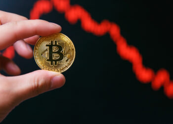 What happened to the Bitcoin price?