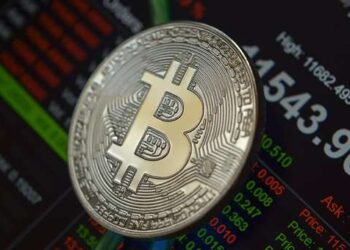 Bitcoin will fly with Elon Musk and SpaceX to the moon