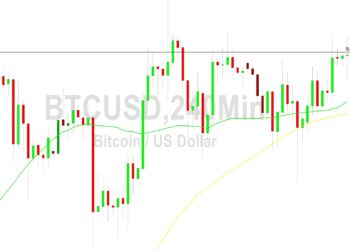 Bitcoin Price Analysis: Volatile After 28661 Test