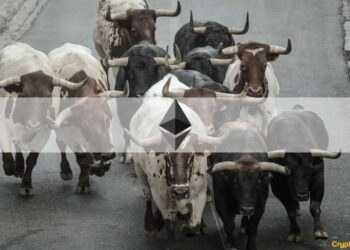 Is the Bull Market Back? 5 Key Considerations (Op-Ed)
