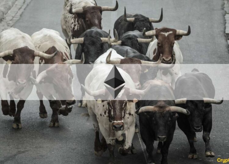 Is the Bull Market Back? 5 Key Considerations (Op-Ed)