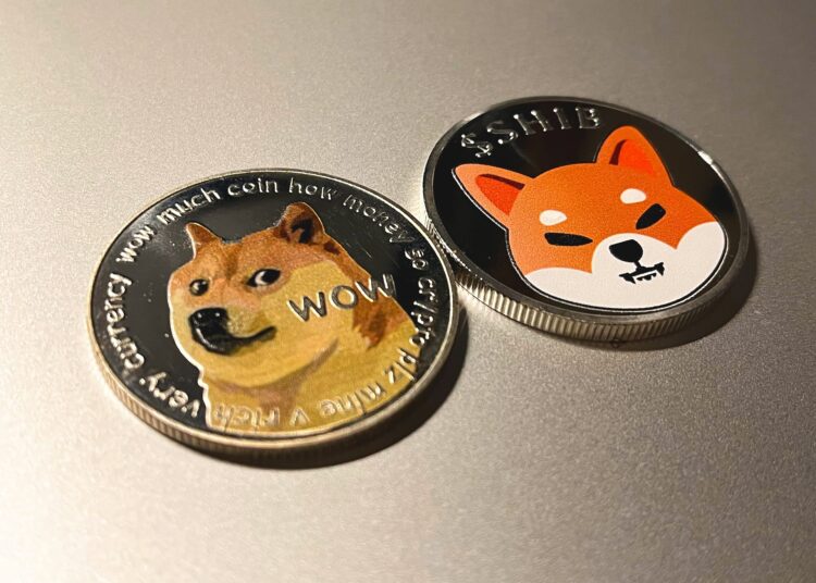 Dogecoin outperforms Shiba Inu as the memecoins get fired up- How much further will SHIB and Doge Spike?
