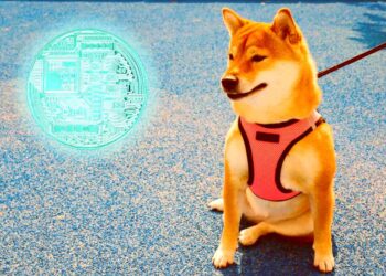 Dogecoin (DOGE) Drops 6% As Elon Musk’s SpaceX Test Rocket Launches, Explodes